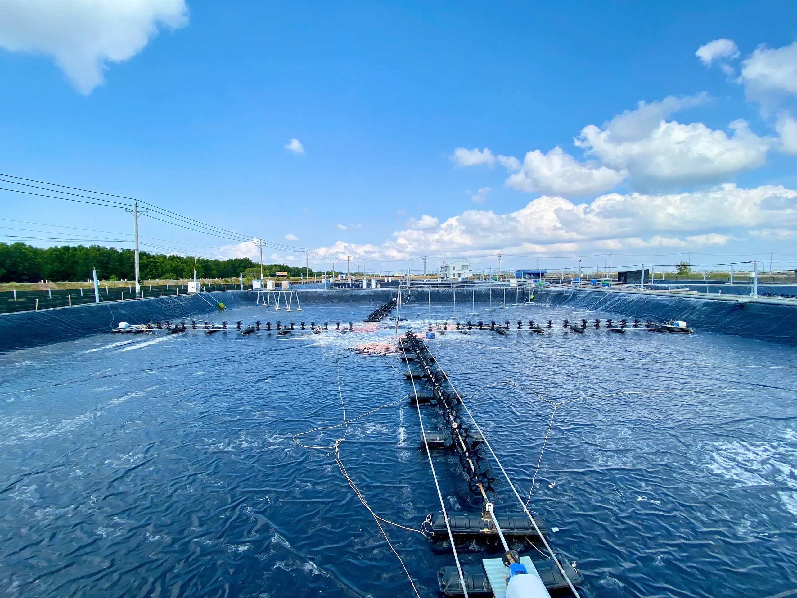 Pond infrastructure and distribution lines at the pilot farm